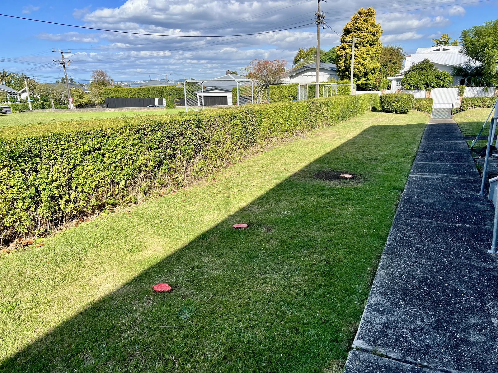 After — large established camellias removed at ground level, stump kill applied, area left immaculate, Northcote Point