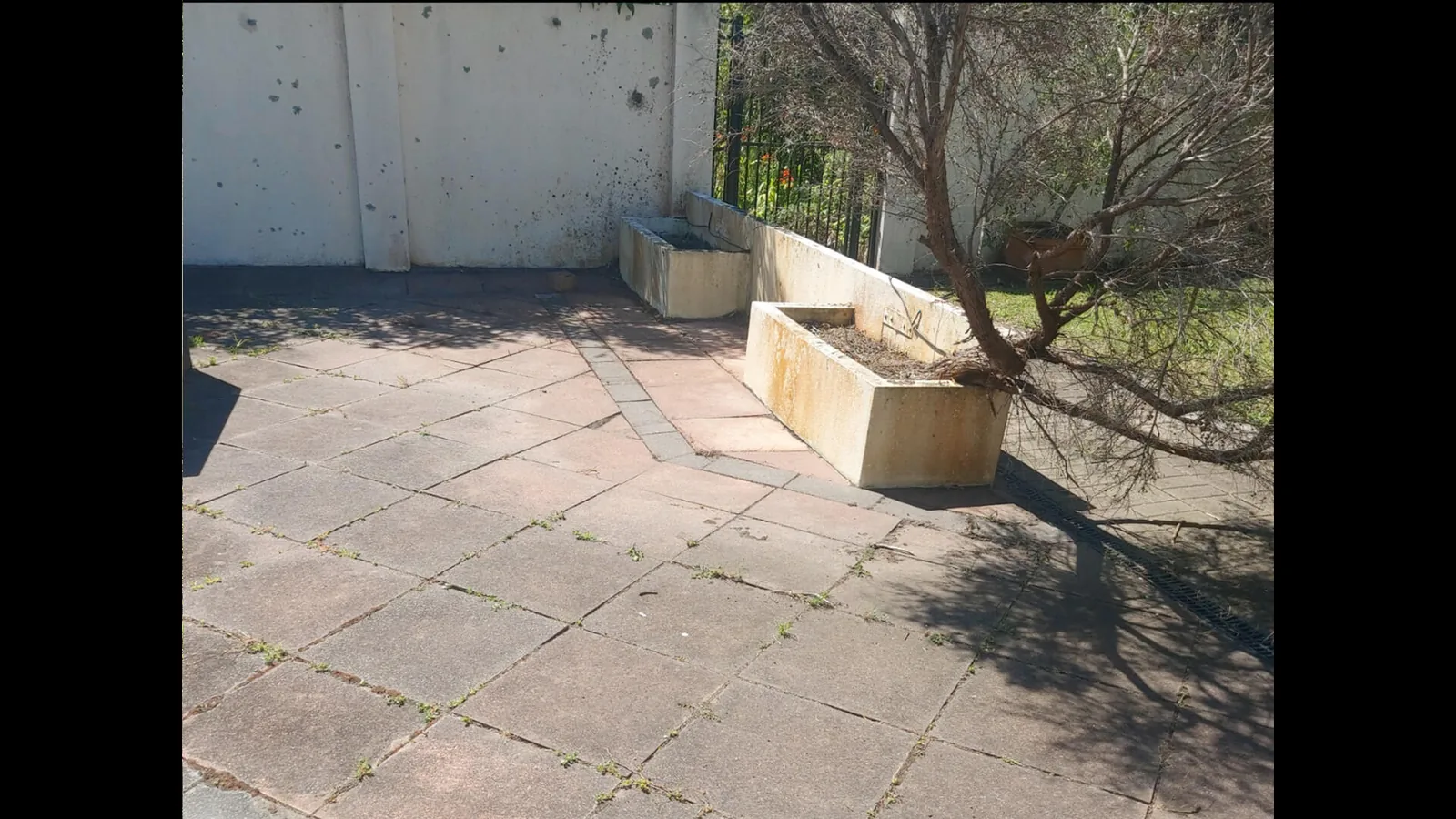 After — beds cleared of weeds, shrubs cut back, edges redefined and waste removed, Sunnynook