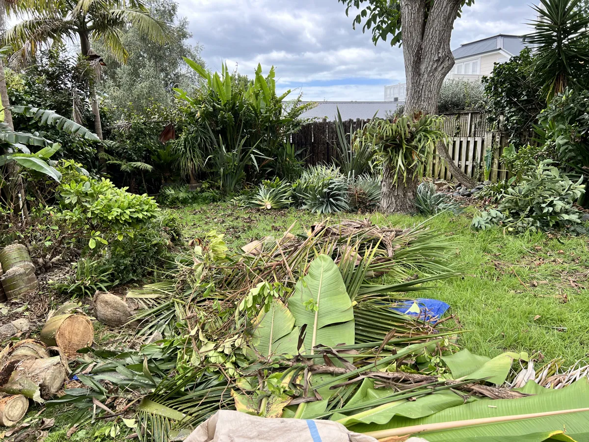 An overgrown back garden cut back and cleared, Auckland