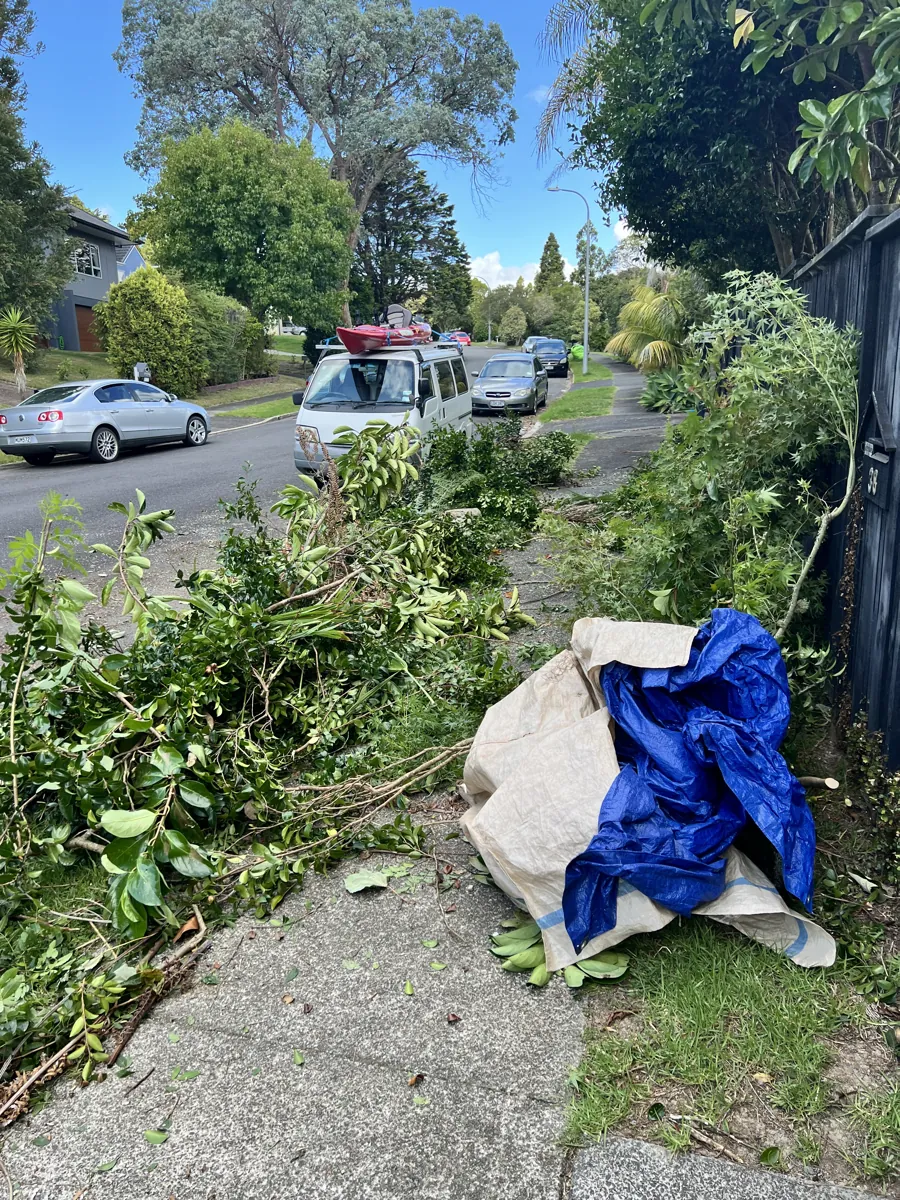 Prunings and cuttings bundled and loaded for removal, Auckland