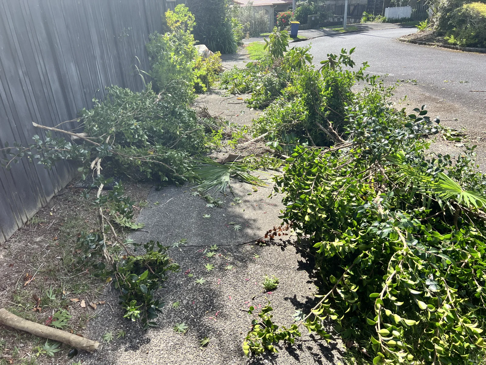Green waste loaded for removal in Auckland