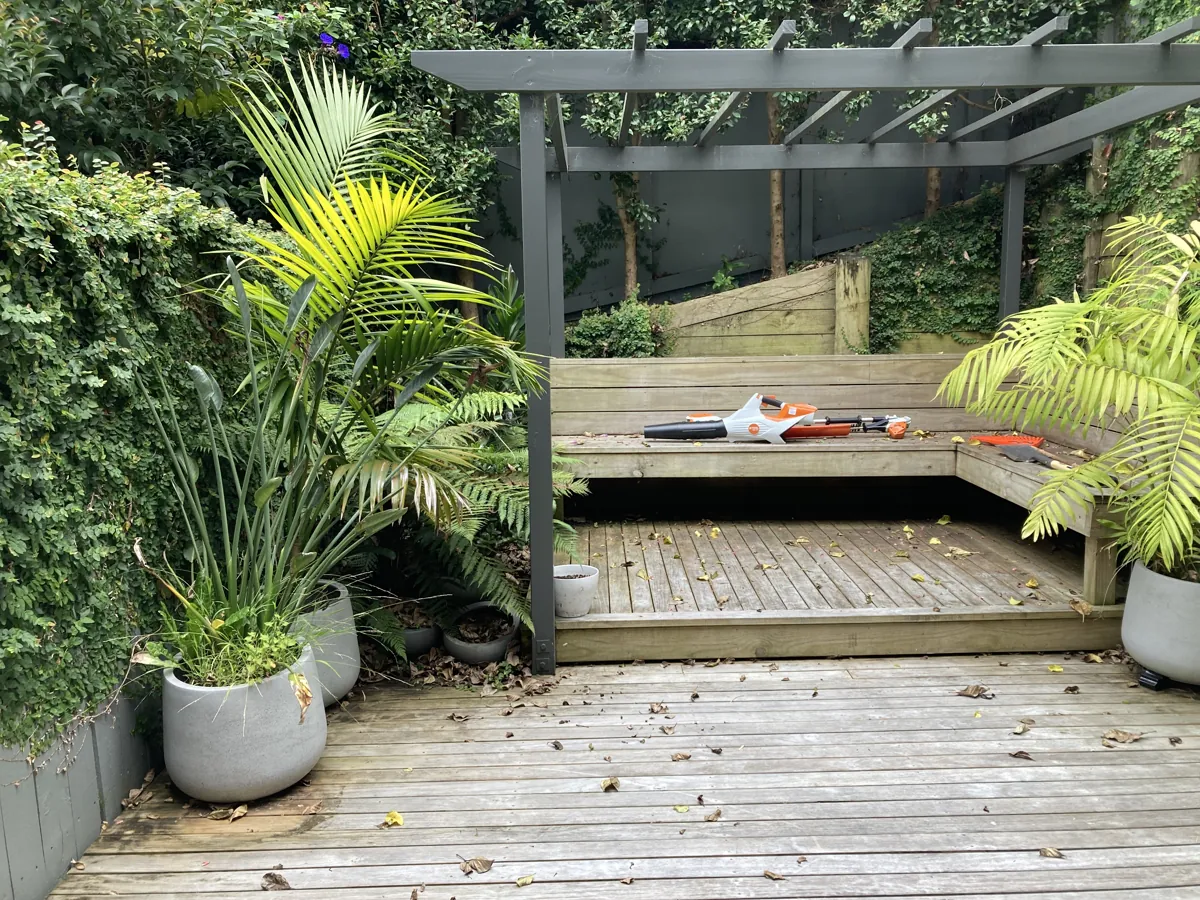 Palms and ferns kept lush and healthy beside a deck, Auckland